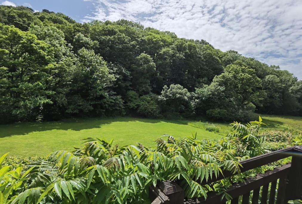 Kallowen Cottage At Crackington Haven, Near Bude And Boscastle, Cornwall Экстерьер фото